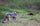 Back of Brendan Burns in Vias Camouflage Stalking Alaskan Brown Bear with his Bow