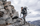 Side of Female Hunter Wearing Vias Camouflage Standing on Rock Ledge