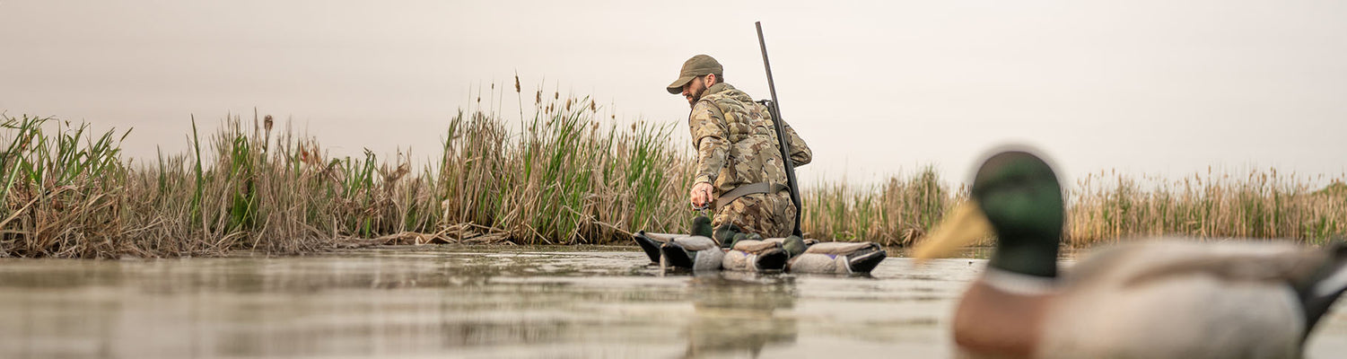 Back view of Waterfowl Hunter standing in thigh deep water with duck decoys, carrying a shot gun