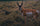 Antelope Hunting Gear List