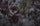 Mule Deer Hunting Gear List