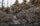 Front, Angled View of Hunter in Valo Camouflage Hiking in Brown, Snow Covered Terrain