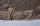 Justin Shaffer in Valo Camouflage Looking for Marco Polo Sheep in Kyrgzystan