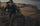 Behind Every Hunt