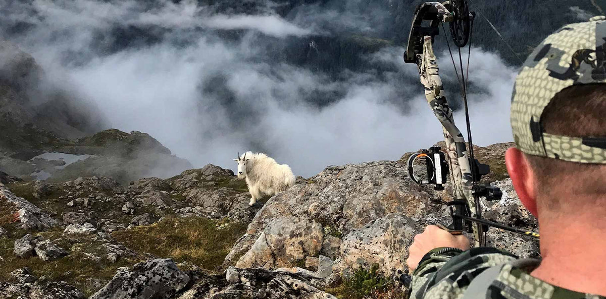 Back of Justin Shaffer in Verde Camouflage with Bow Drawn on Big Mountain Goat