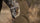 Front, Angled View of Pro Brush Pants in Valo Camouflage Highlighting Durable Paneling