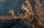 Two hunters in vias camo traversing a rocky spine as the sunlight shines an orange glow upon them