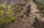 Hunter in Valo Camouflage walking along the edge of a canyon towards the camera