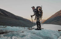 Into the Sun: Dall Sheep in the Yukon